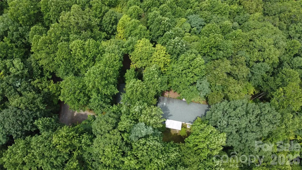 253 Royalwood Drive Zirconia, NC 28790