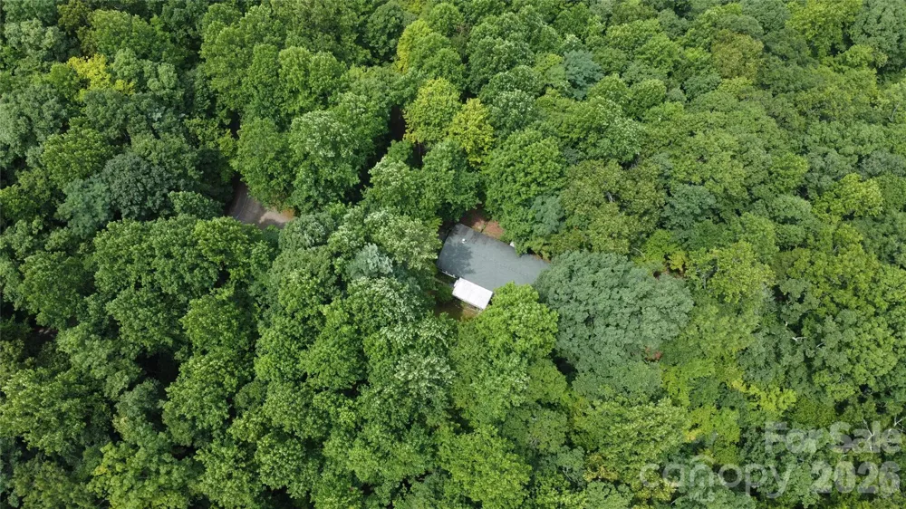 253 Royalwood Drive Zirconia, NC 28790
