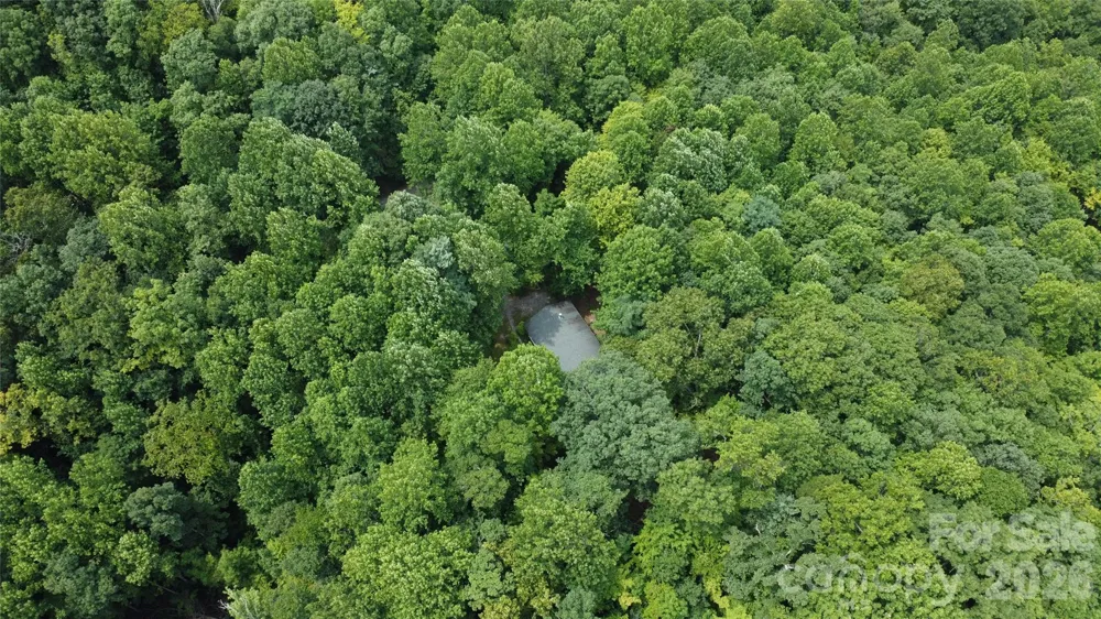 253 Royalwood Drive Zirconia, NC 28790