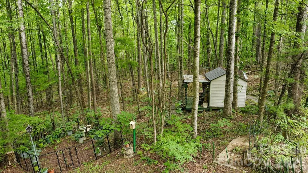 253 Royalwood Drive Zirconia, NC 28790