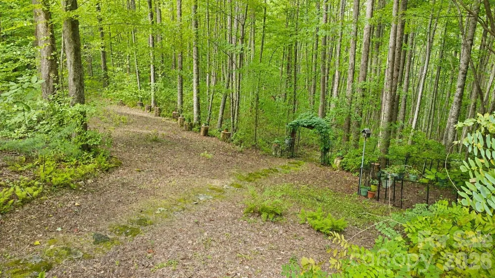 253 Royalwood Drive Zirconia, NC 28790