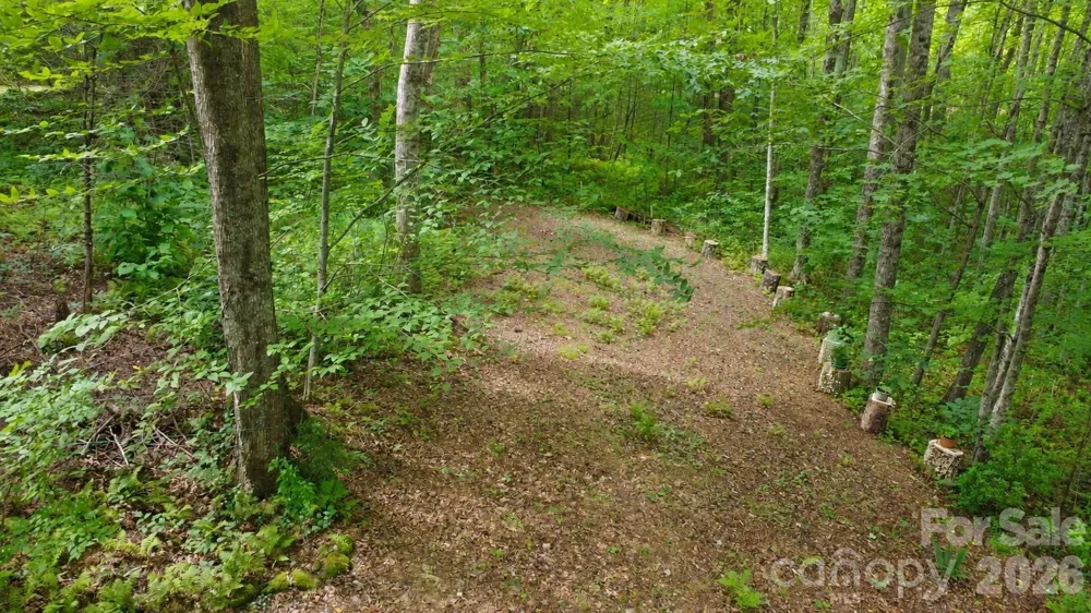 253 Royalwood Drive Zirconia, NC 28790