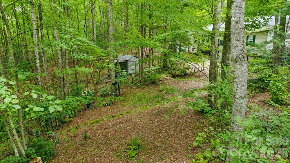 253 Royalwood Drive Zirconia, NC 28790