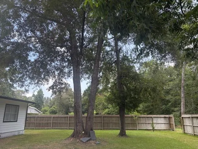 13953 Morgan Drive Splendora, TX 77372