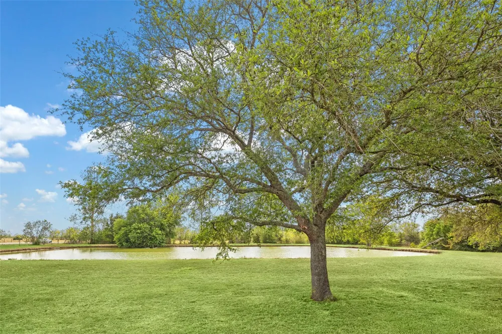 13340 Morgan Lane Needville, TX 77461