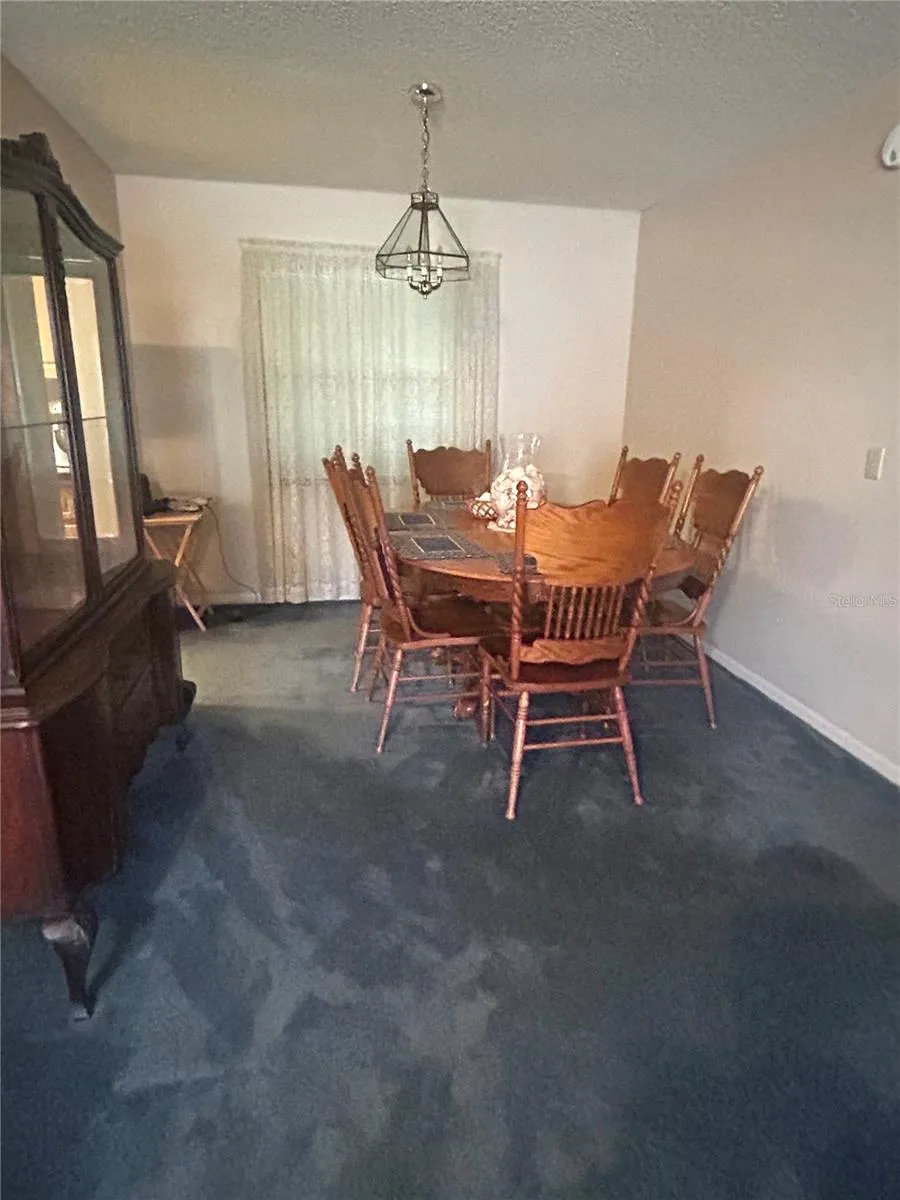 1309 WINDJAMMER PLACE Valrico, FL 33594