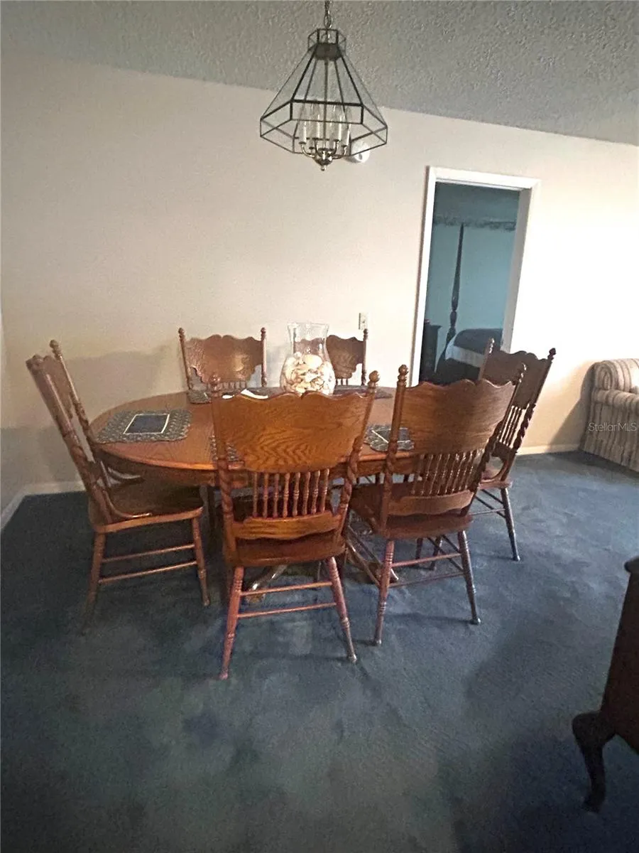 1309 WINDJAMMER PLACE Valrico, FL 33594