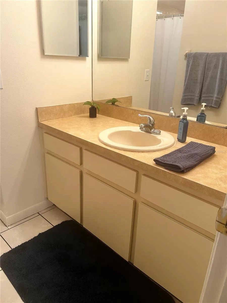 1309 WINDJAMMER PLACE Valrico, FL 33594