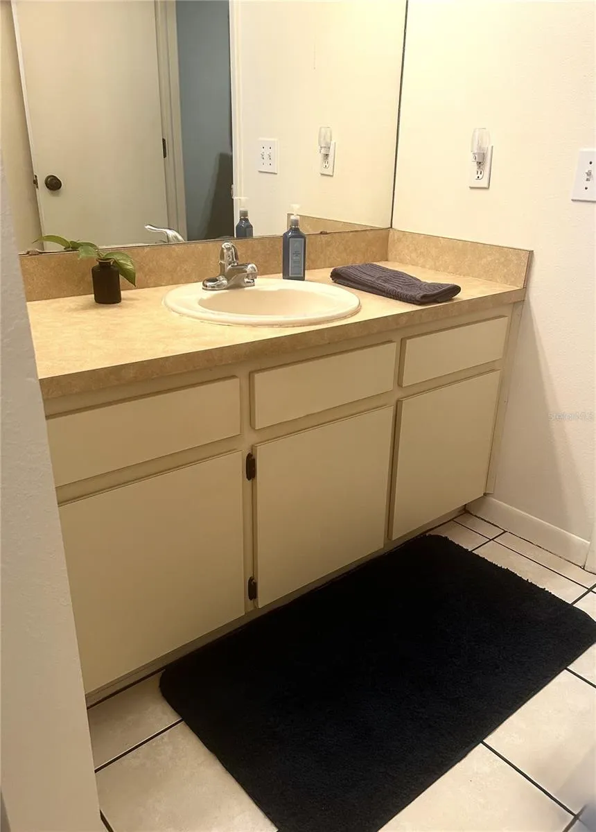 1309 WINDJAMMER PLACE Valrico, FL 33594