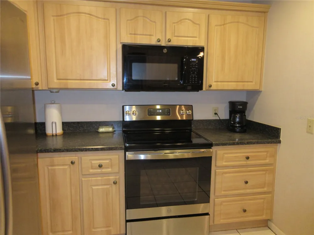 1309 WINDJAMMER PLACE Valrico, FL 33594