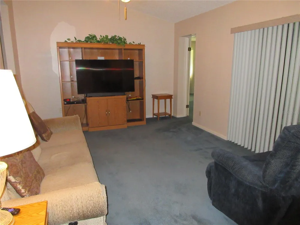 1309 WINDJAMMER PLACE Valrico, FL 33594