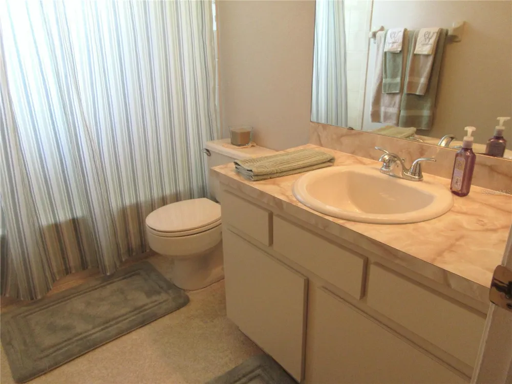 1309 WINDJAMMER PLACE Valrico, FL 33594