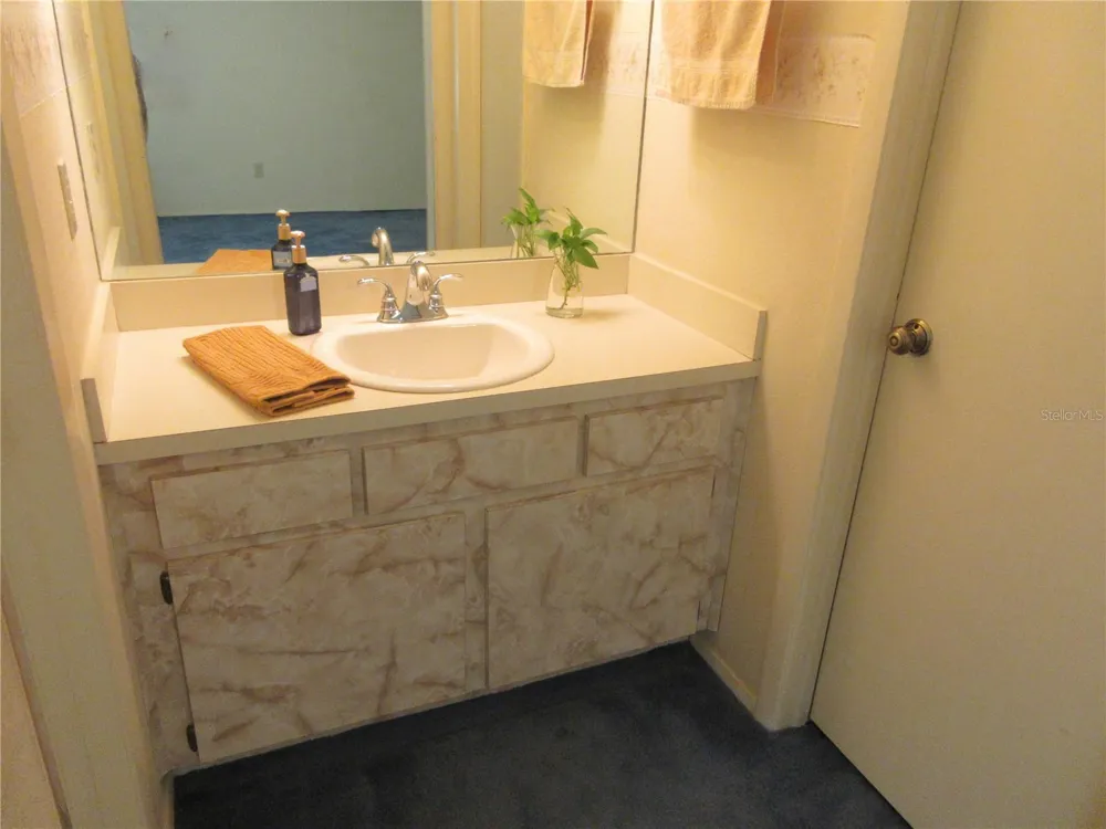 1309 WINDJAMMER PLACE Valrico, FL 33594