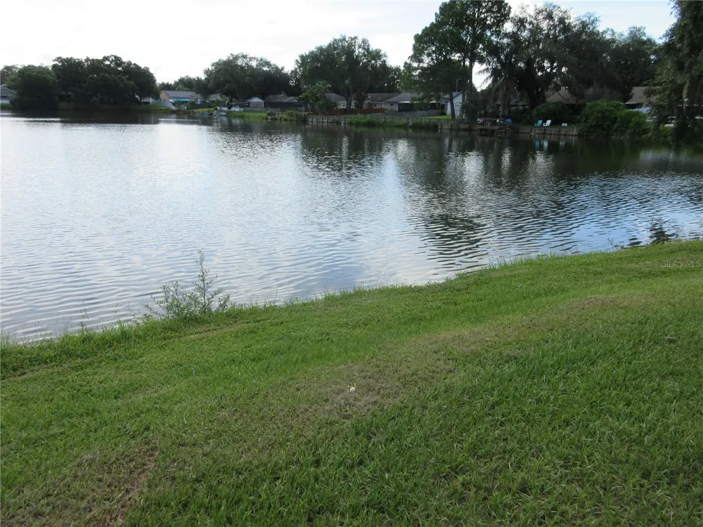 1309 WINDJAMMER PLACE Valrico, FL 33594