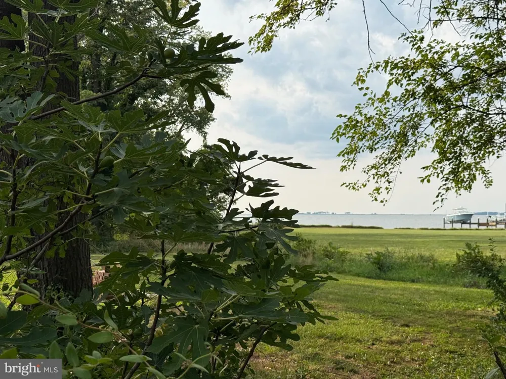 20502 NANTICOKE ROAD Nanticoke, MD 21840