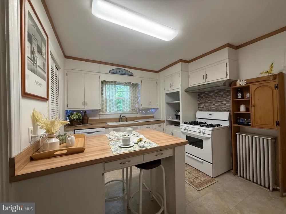 20502 NANTICOKE ROAD Nanticoke, MD 21840