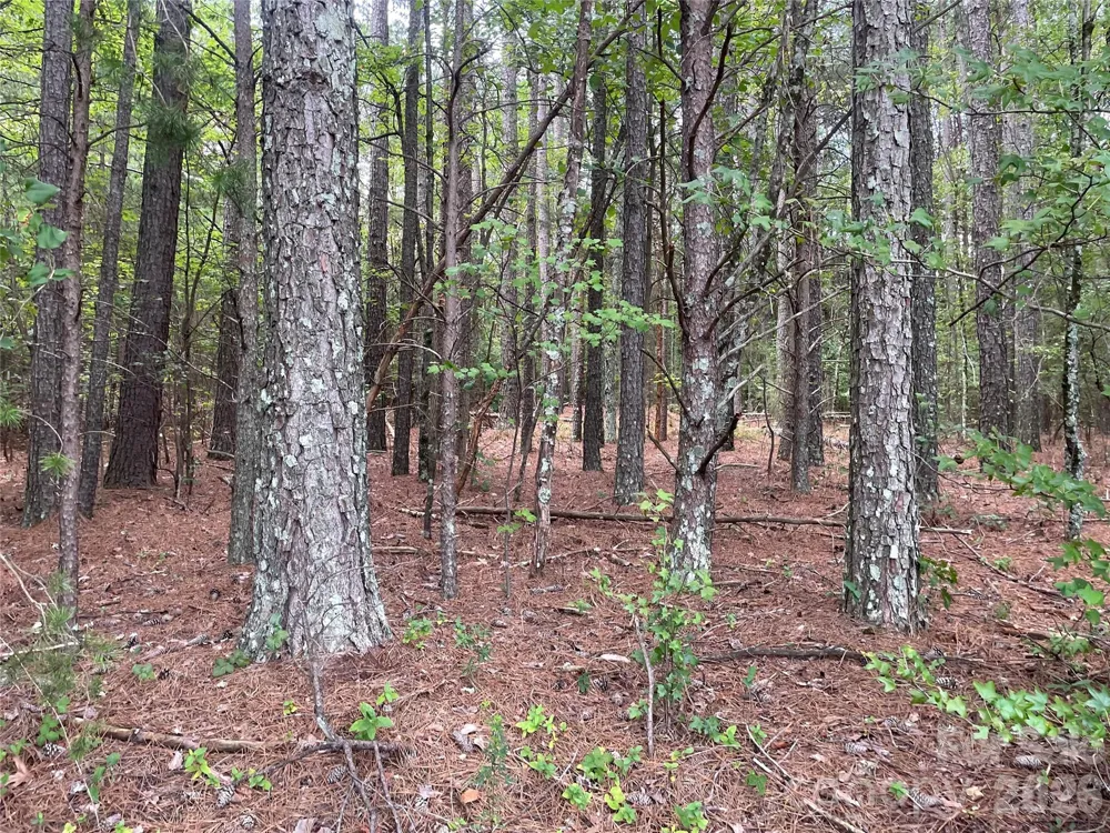 01 Fishermans Lane #1 Maiden, NC 28650