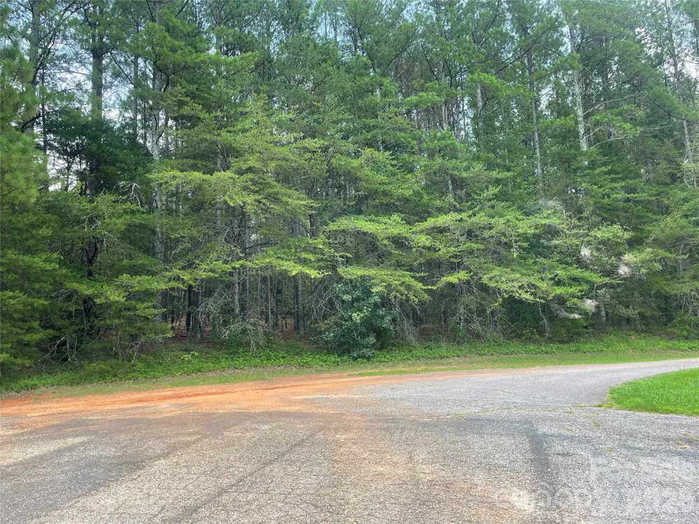 01 Fishermans Lane #1 Maiden, NC 28650