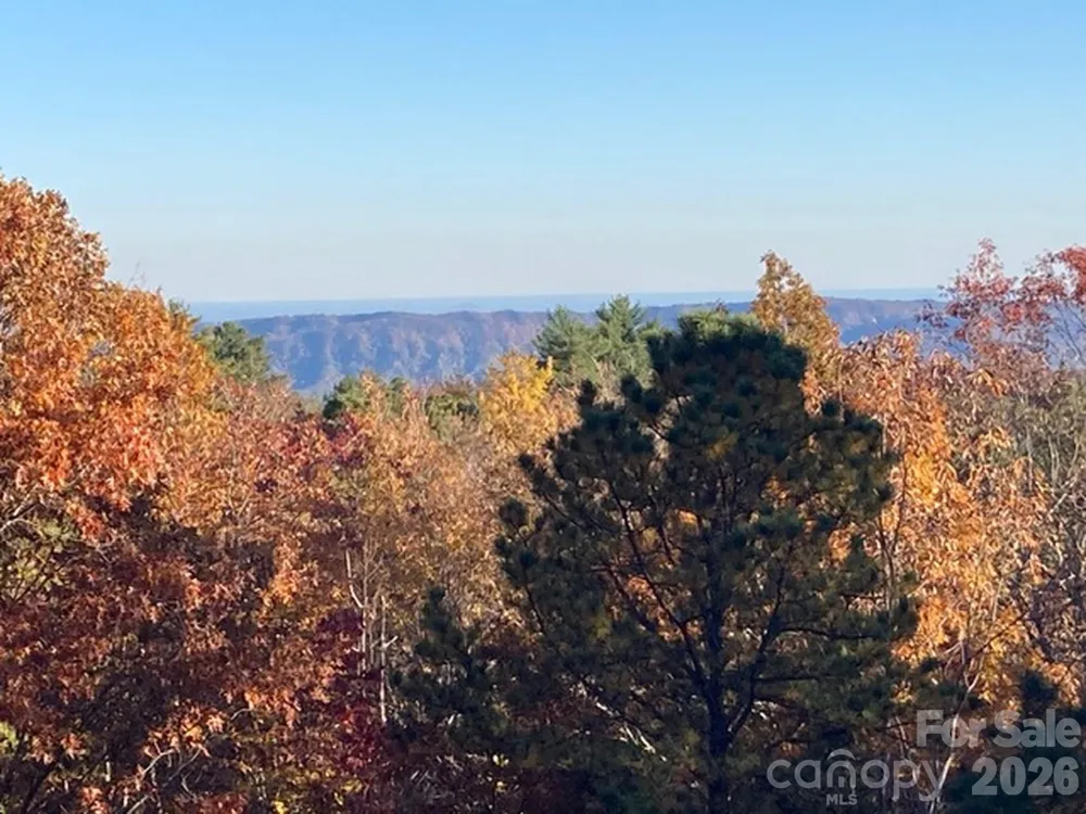 121 Toxaway Views Drive #504 Lake Toxaway, NC 28747