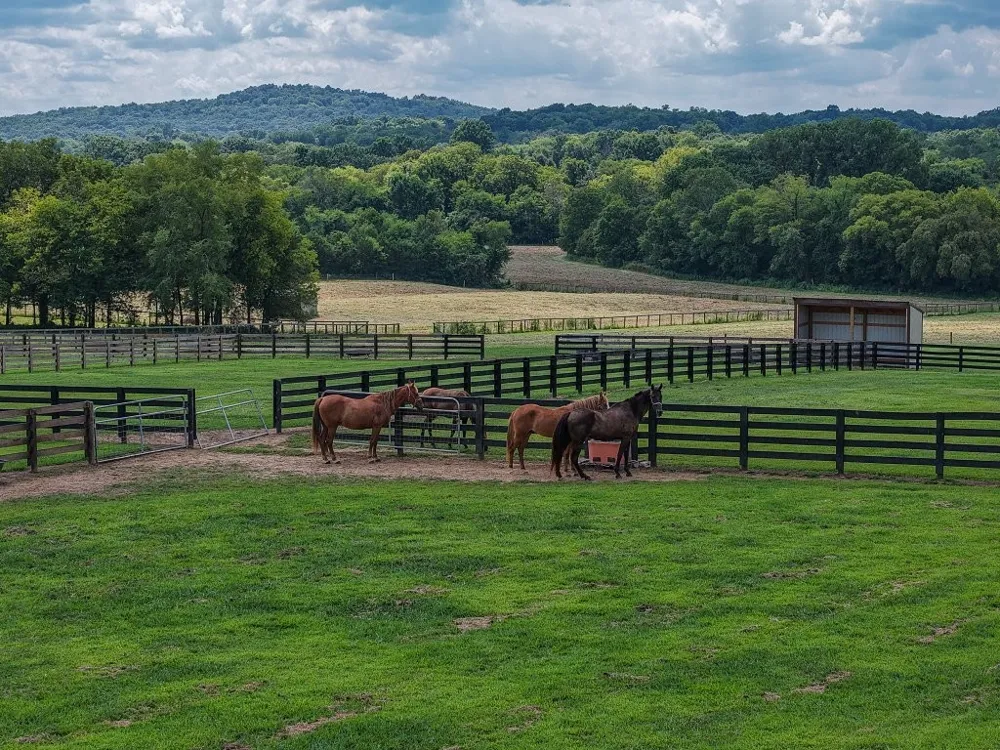 121 Wartrace Creek Rd Wartrace, TN 37183