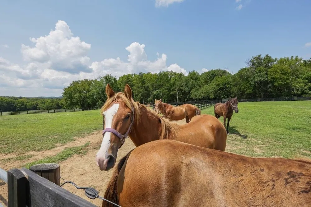 121 Wartrace Creek Rd Wartrace, TN 37183