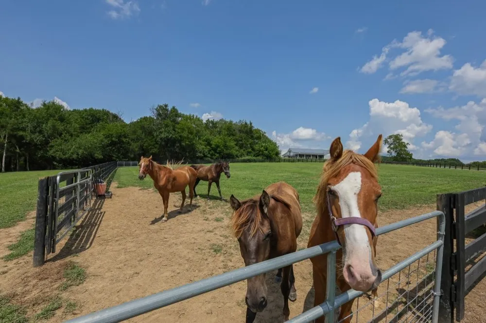 121 Wartrace Creek Rd Wartrace, TN 37183