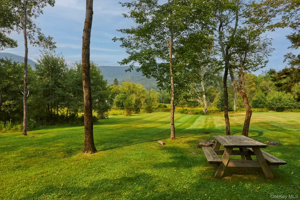 1658 Platte Clove Road Hunter, NY 12427