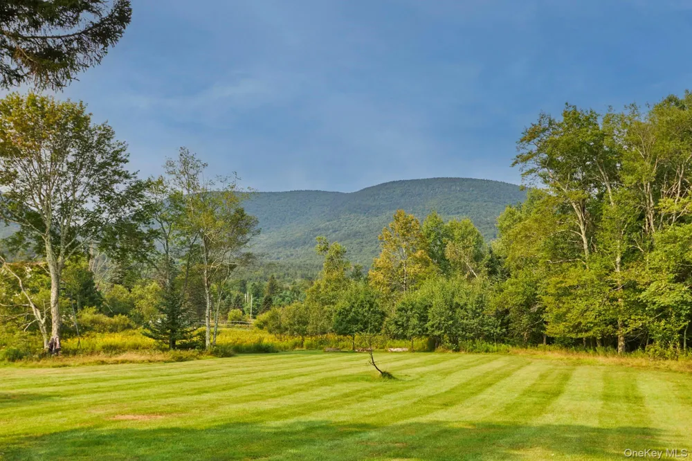 1658 Platte Clove Road Hunter, NY 12427