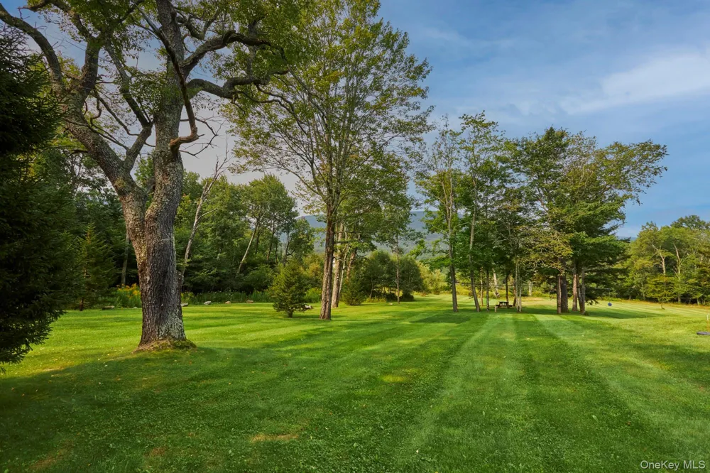 1658 Platte Clove Road Hunter, NY 12427