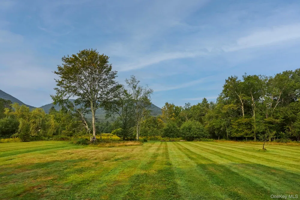 1658 Platte Clove Road Hunter, NY 12427