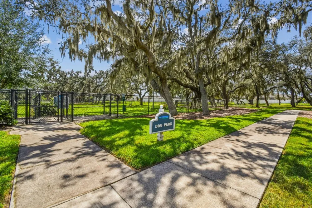 13310 WILDFLOWER MEADOW DRIVE Riverview, FL 33579