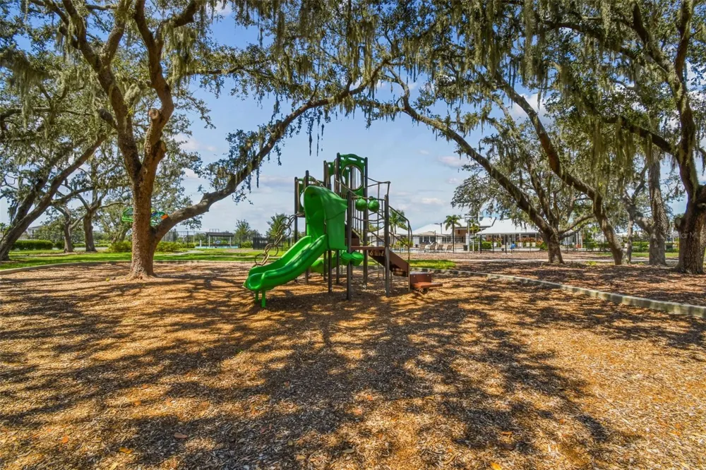 13310 WILDFLOWER MEADOW DRIVE Riverview, FL 33579