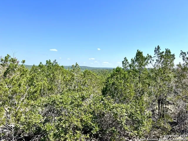 900 Alonzo RD Harper, TX 78631