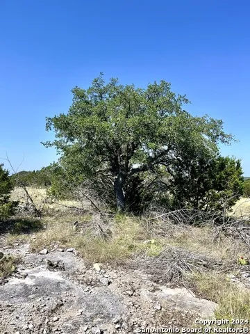 900 Alonzo RD Harper, TX 78631