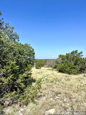 900 Alonzo RD Harper, TX 78631