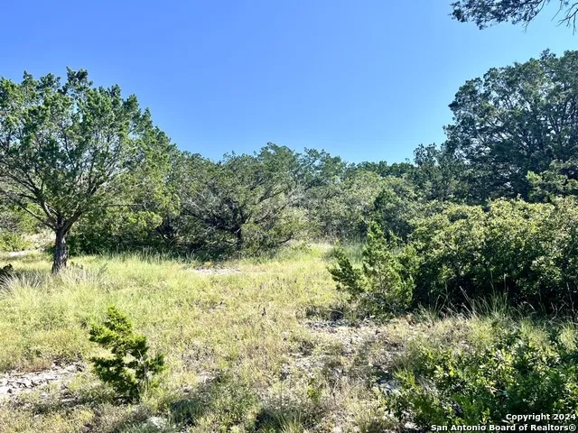 900 Alonzo RD Harper, TX 78631