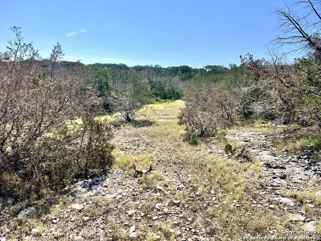 900 Alonzo RD Harper, TX 78631