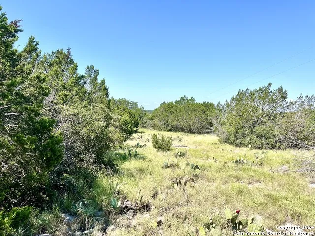900 Alonzo RD Harper, TX 78631