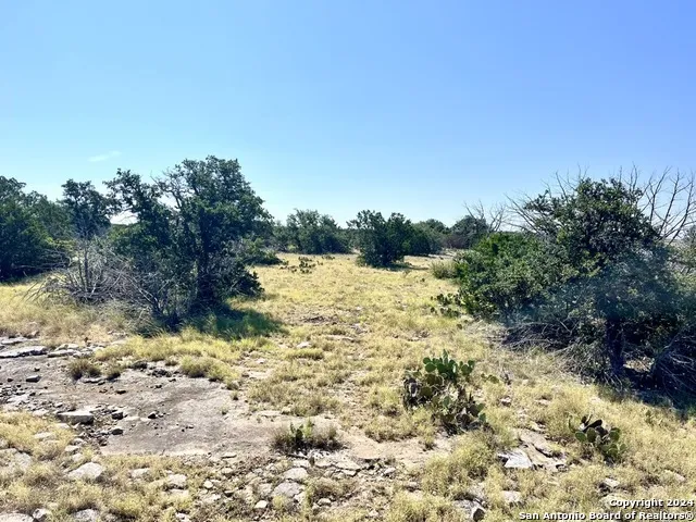 900 Alonzo RD Harper, TX 78631
