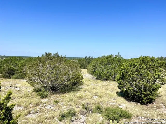 900 Alonzo RD Harper, TX 78631