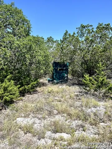 900 Alonzo RD Harper, TX 78631