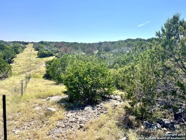 900 Alonzo RD Harper, TX 78631