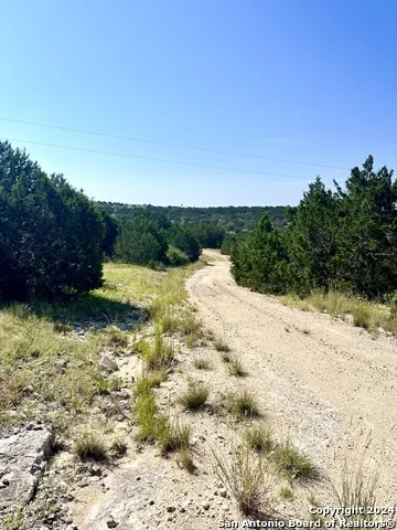 900 Alonzo RD Harper, TX 78631