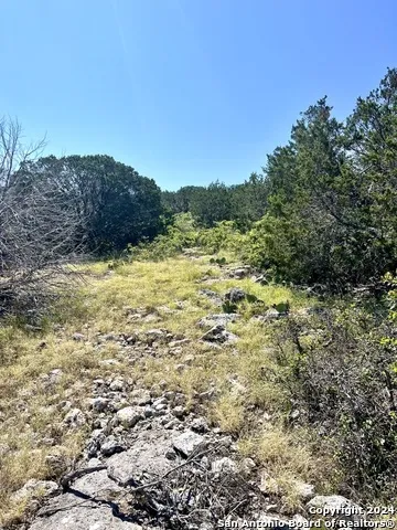 900 Alonzo RD Harper, TX 78631