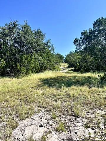 900 Alonzo RD Harper, TX 78631