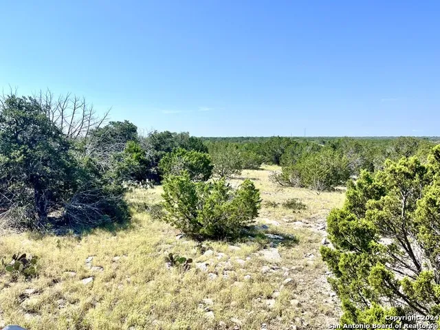 900 Alonzo RD Harper, TX 78631
