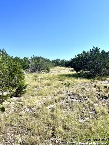 900 Alonzo RD Harper, TX 78631