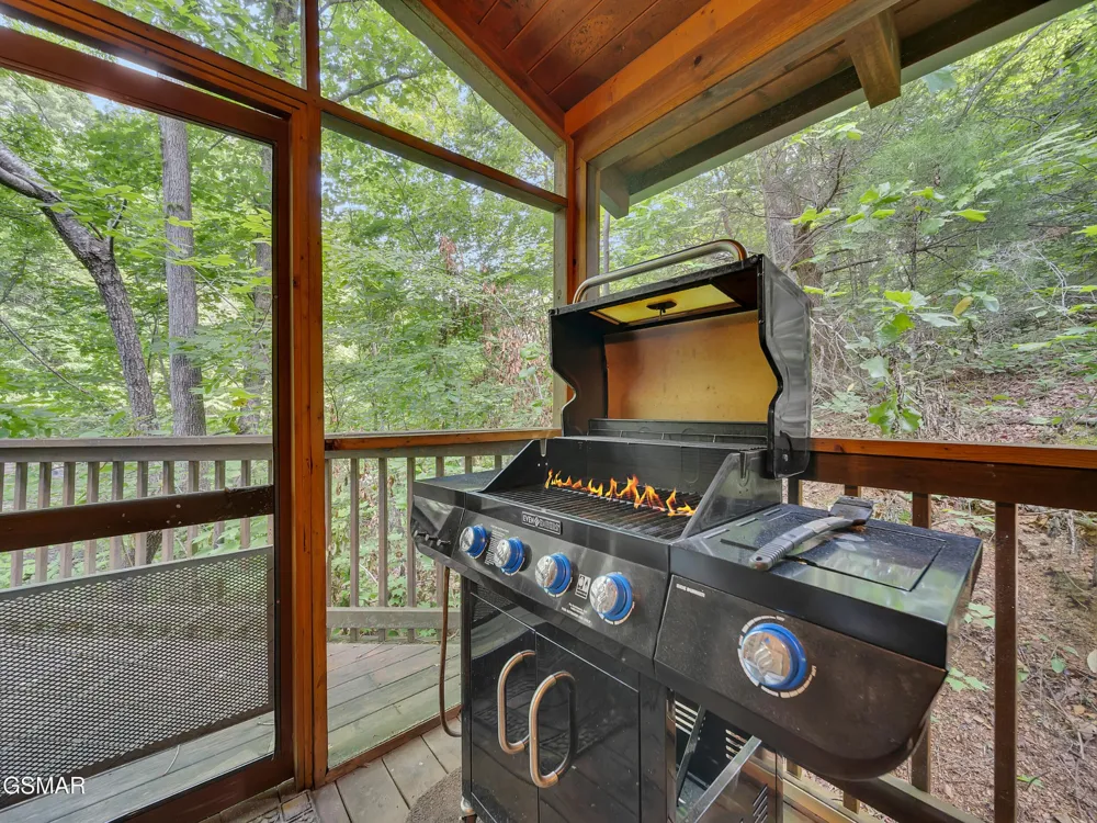 709 Gray Hawk Way Pigeon Forge, TN 37863