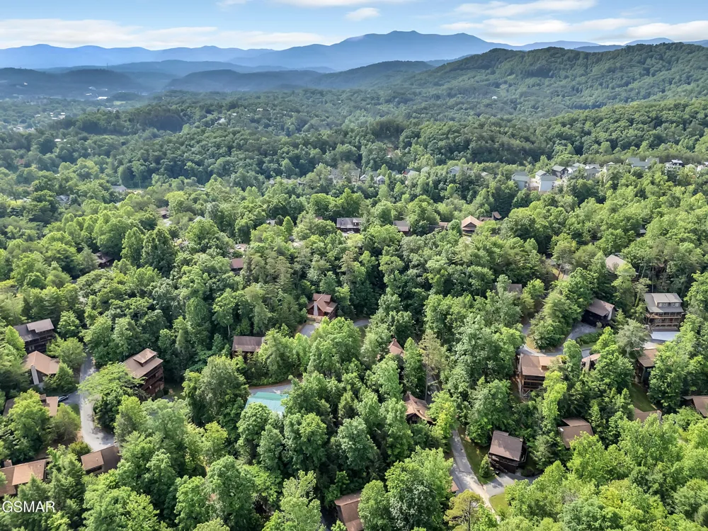 709 Gray Hawk Way Pigeon Forge, TN 37863