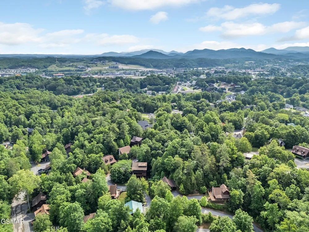 709 Gray Hawk Way Pigeon Forge, TN 37863